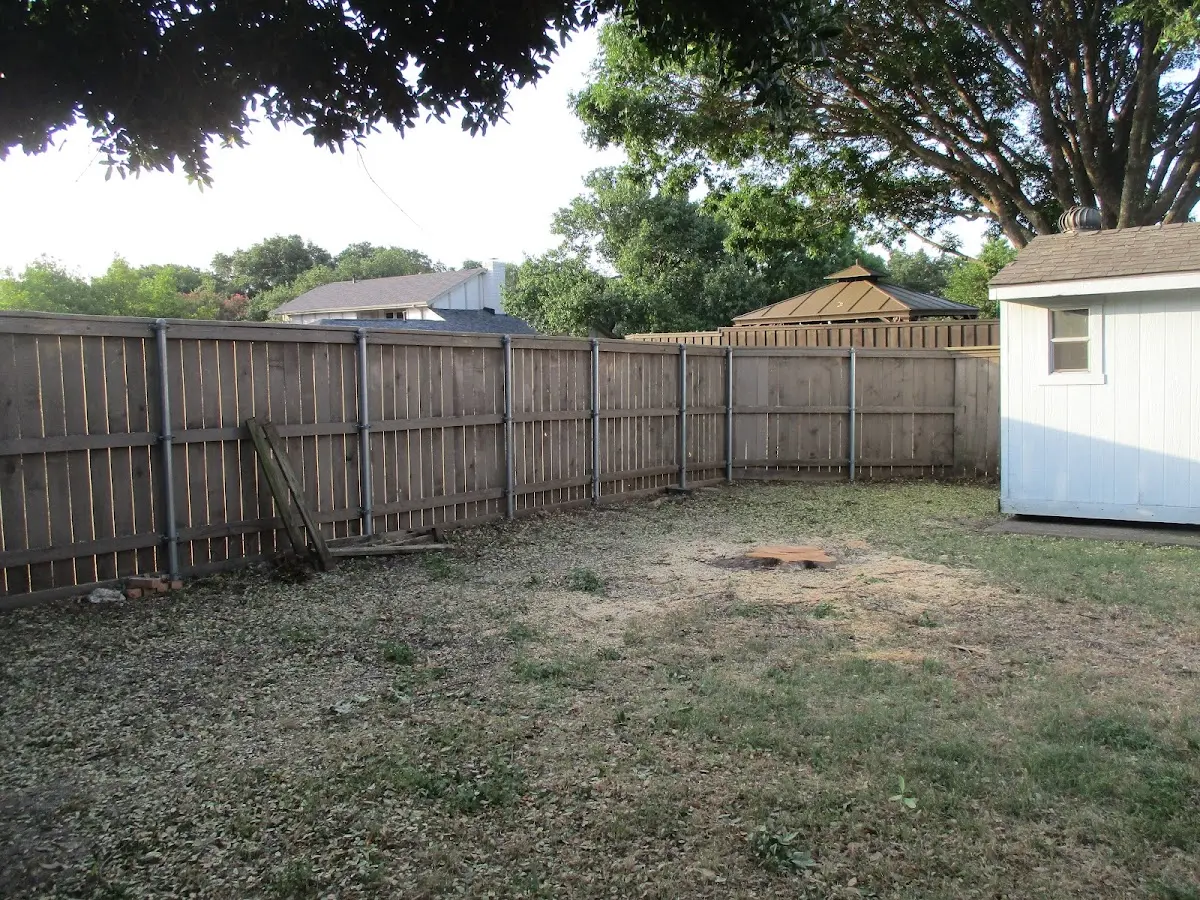 Cleared yard after professional tree removal in Jefferson